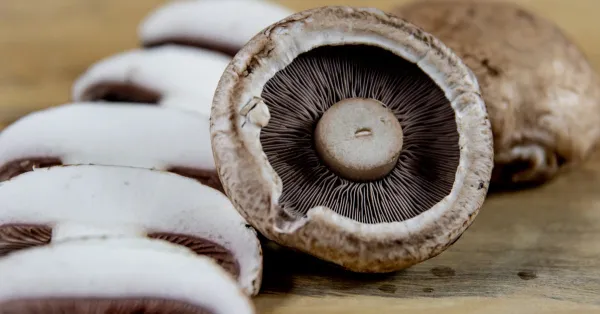 Portobello mushroom burger